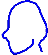 頭の形